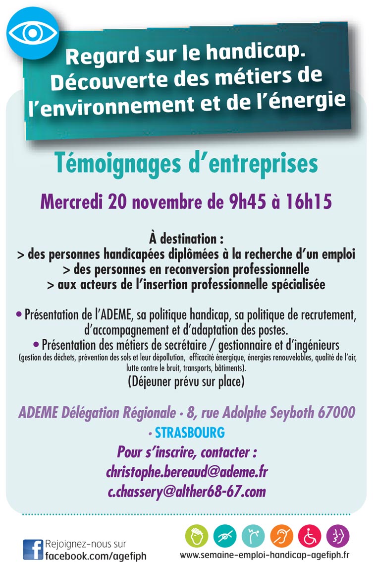 Action et comp�tence. Flyer regard sur le handichat, t�moignages d'entreprises : SEPH 2013