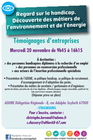 Action et comp�tence. Flyer regard sur le handichat, t�moignages d'entreprises : SEPH 2013